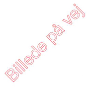 billede på vej bestyrelse